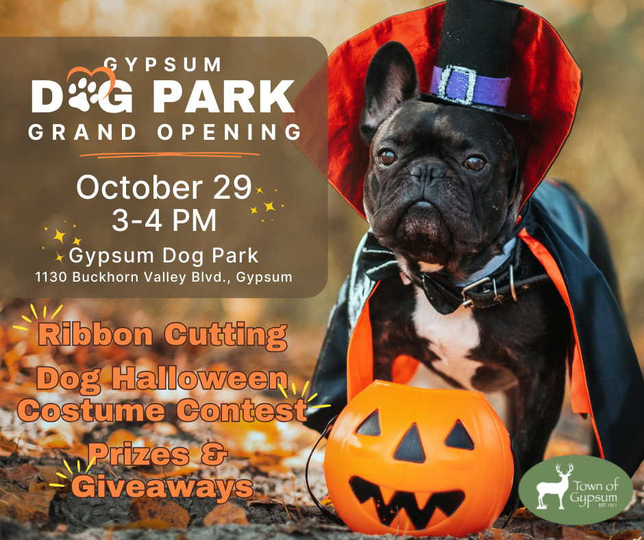 Dog Park Grand Opening Ad featuring a dog dressed up in a halloween costume