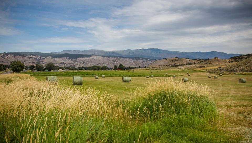 scenic view of fields in gypsum with round bales of alfalfa 